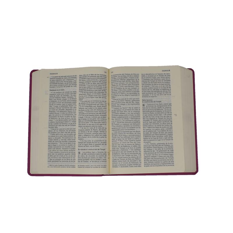 La Biblia Latinoamérica Mis Quince Años - Letra Grande - Librería y Artículos Religiosos San Judas Tadeo